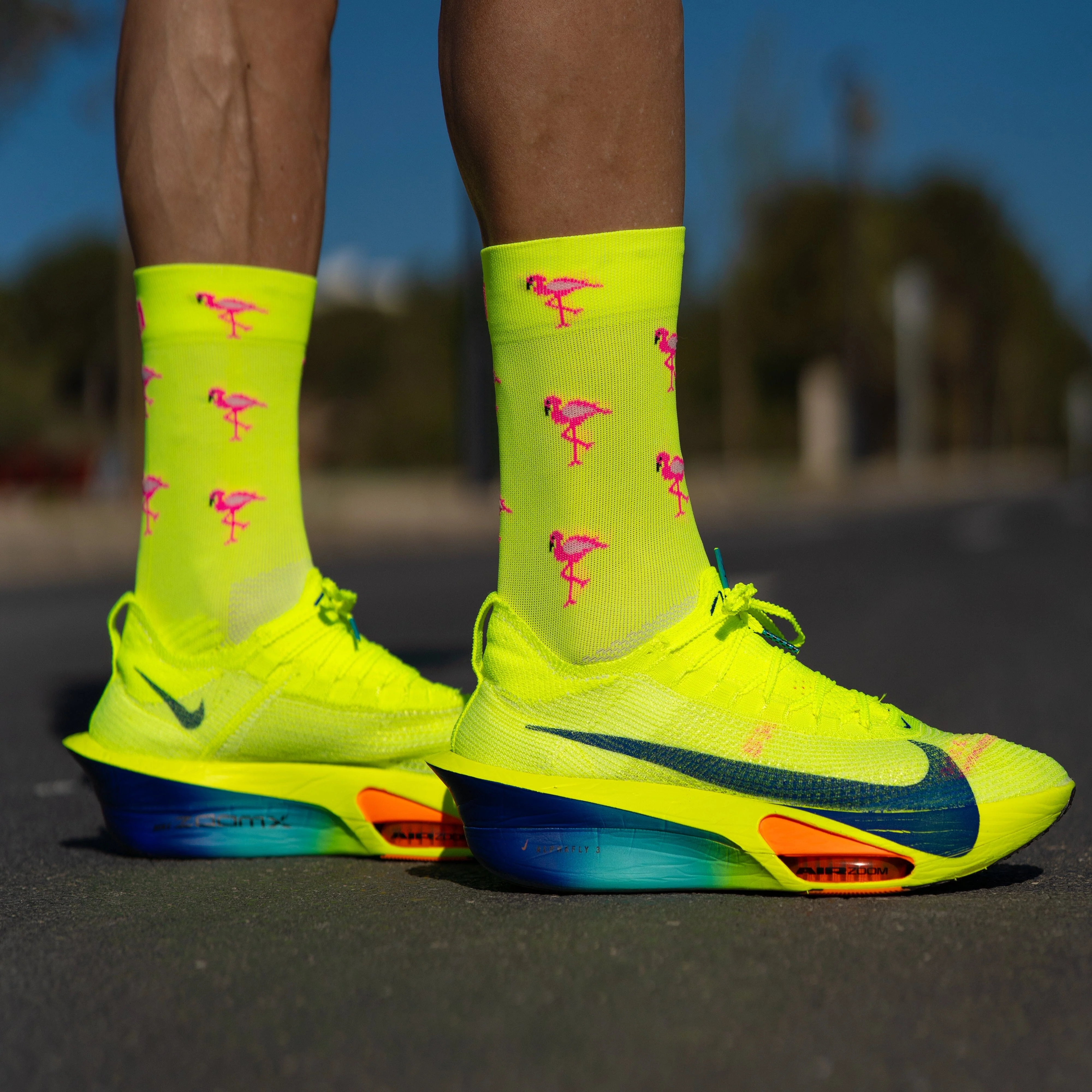 SPORCKS Flamingo - Running Socks - Image 3