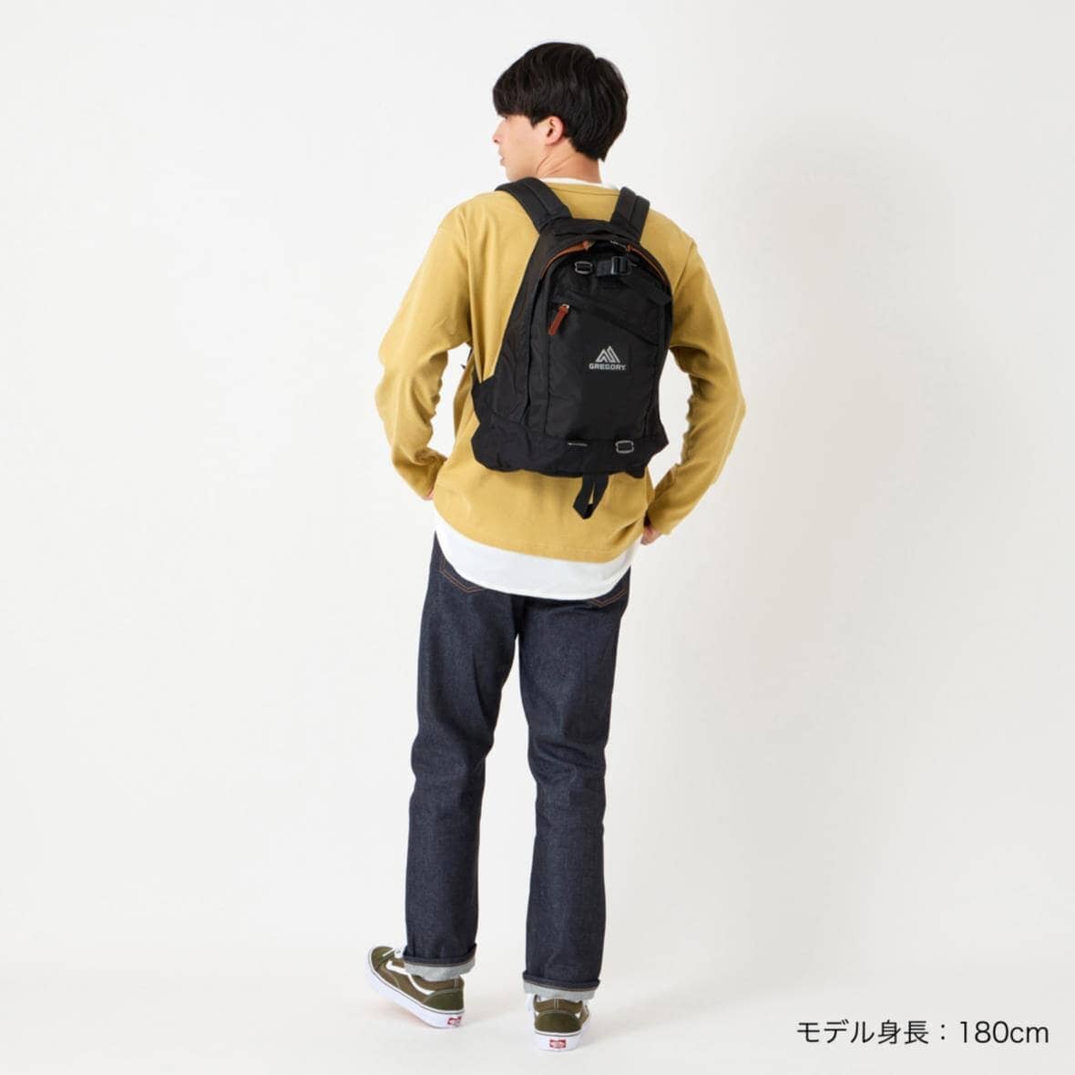Gregory Fine Day V2 Backpack (18L) - Image 4