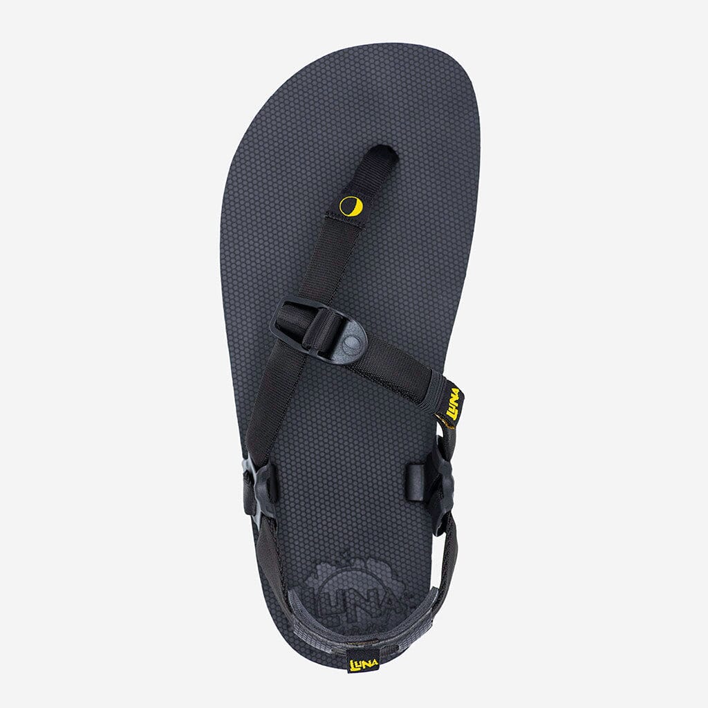 LUNA Middle Bear Winged Edition Sandals - Image 3