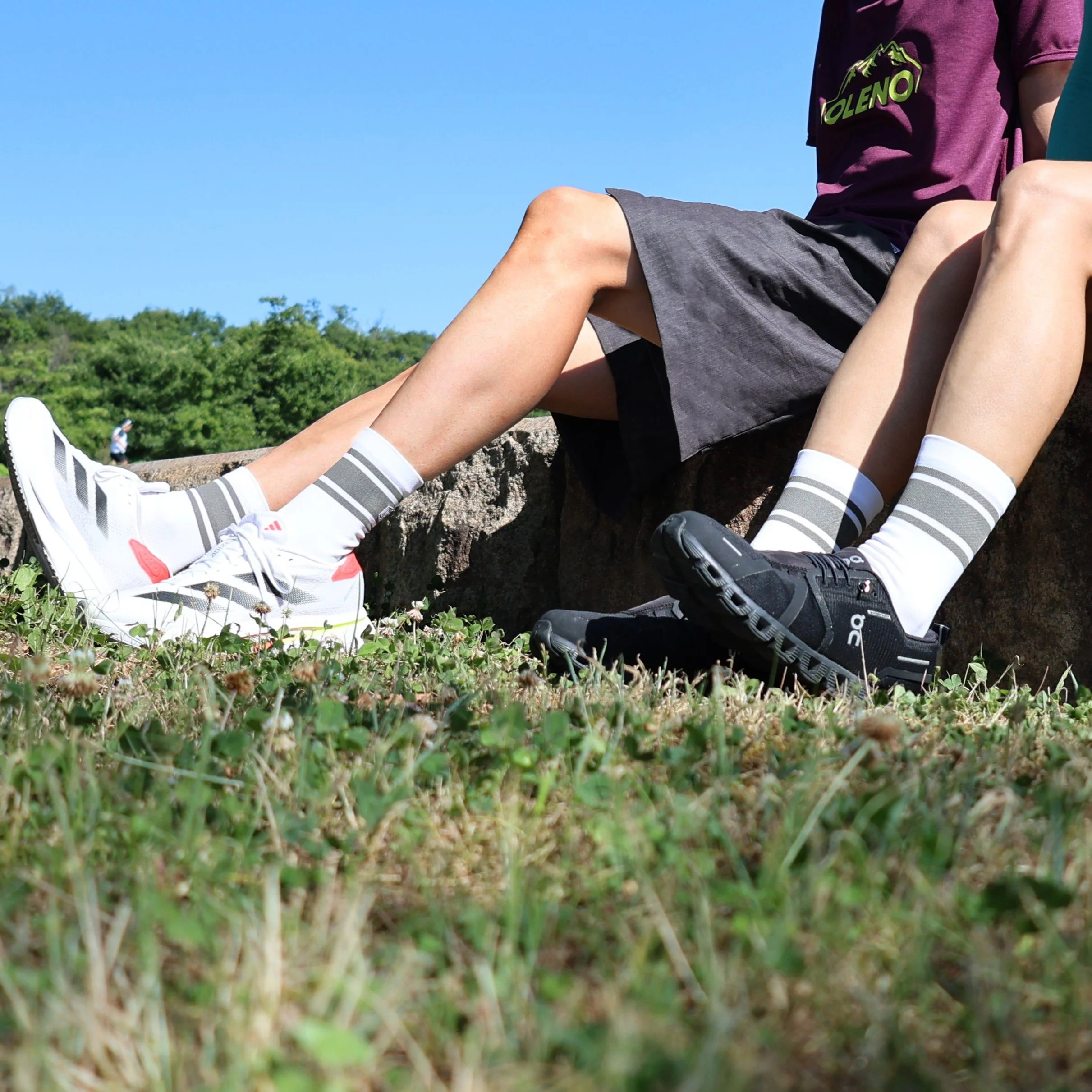 Oleno Comod(y) Life Long Crew Socks - Image 4