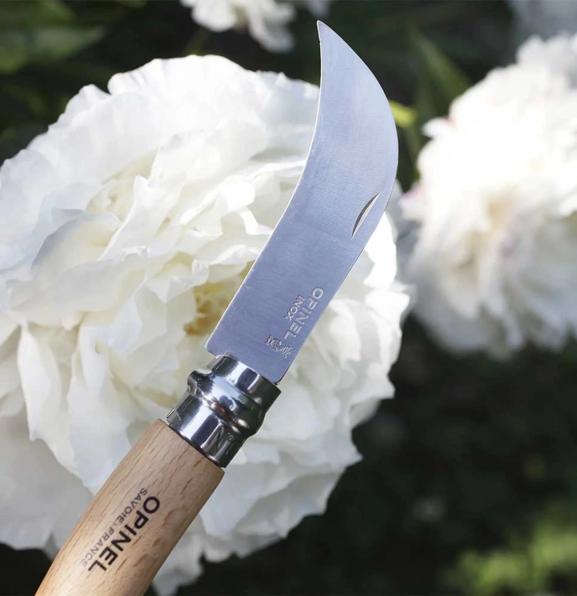 Opinel Pocket Knife N°08 Grafting Billhook - Image 3