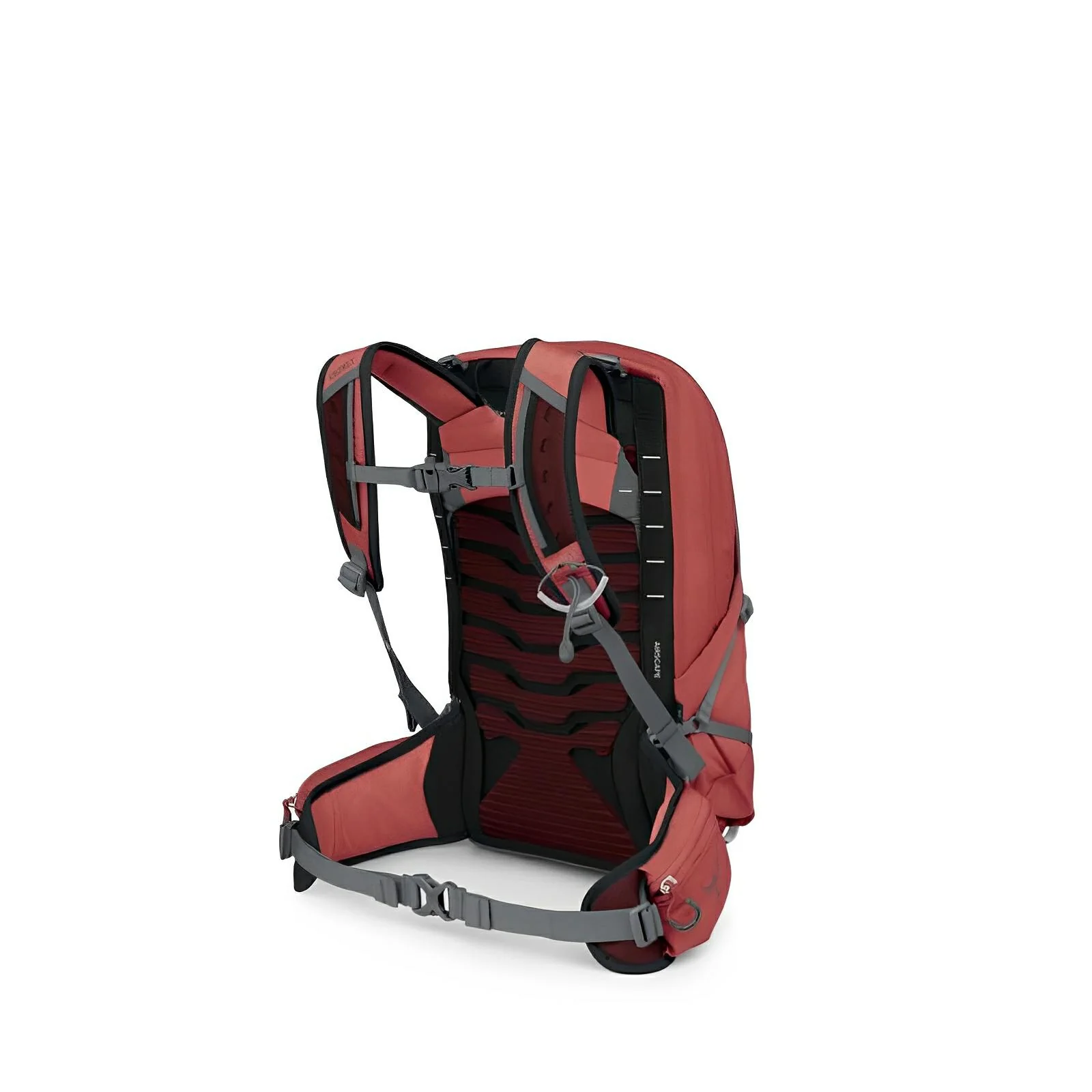 Osprey Tempest 11 Women's Hiking | Multisport Backpack 2025 - Image 3