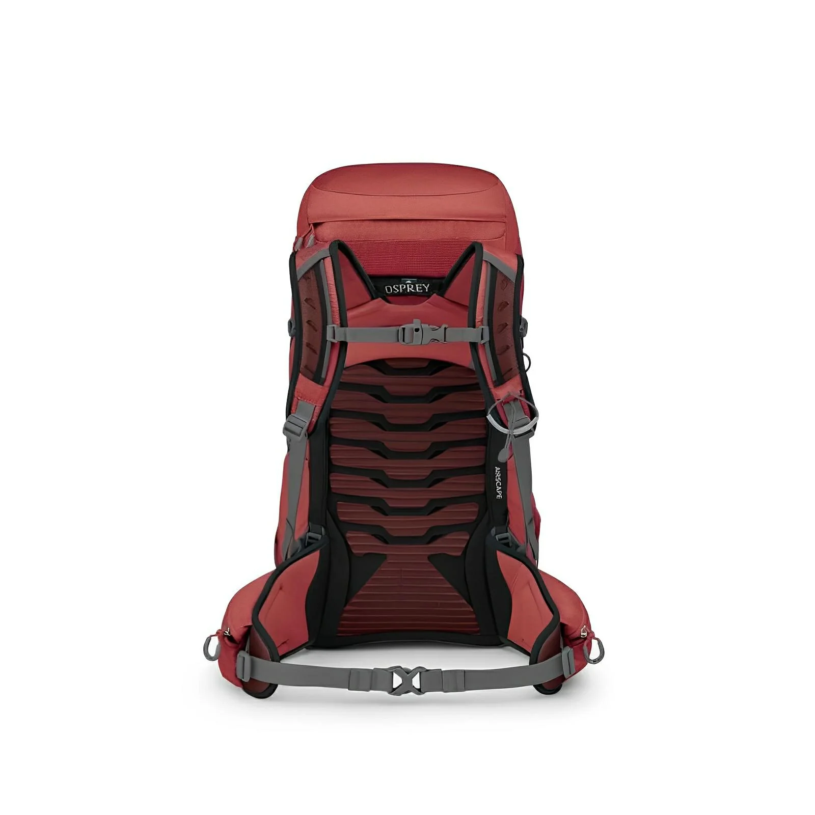 Osprey Tempest 33 Women's Hiking | Multisport Backpack 2025 - Image 4