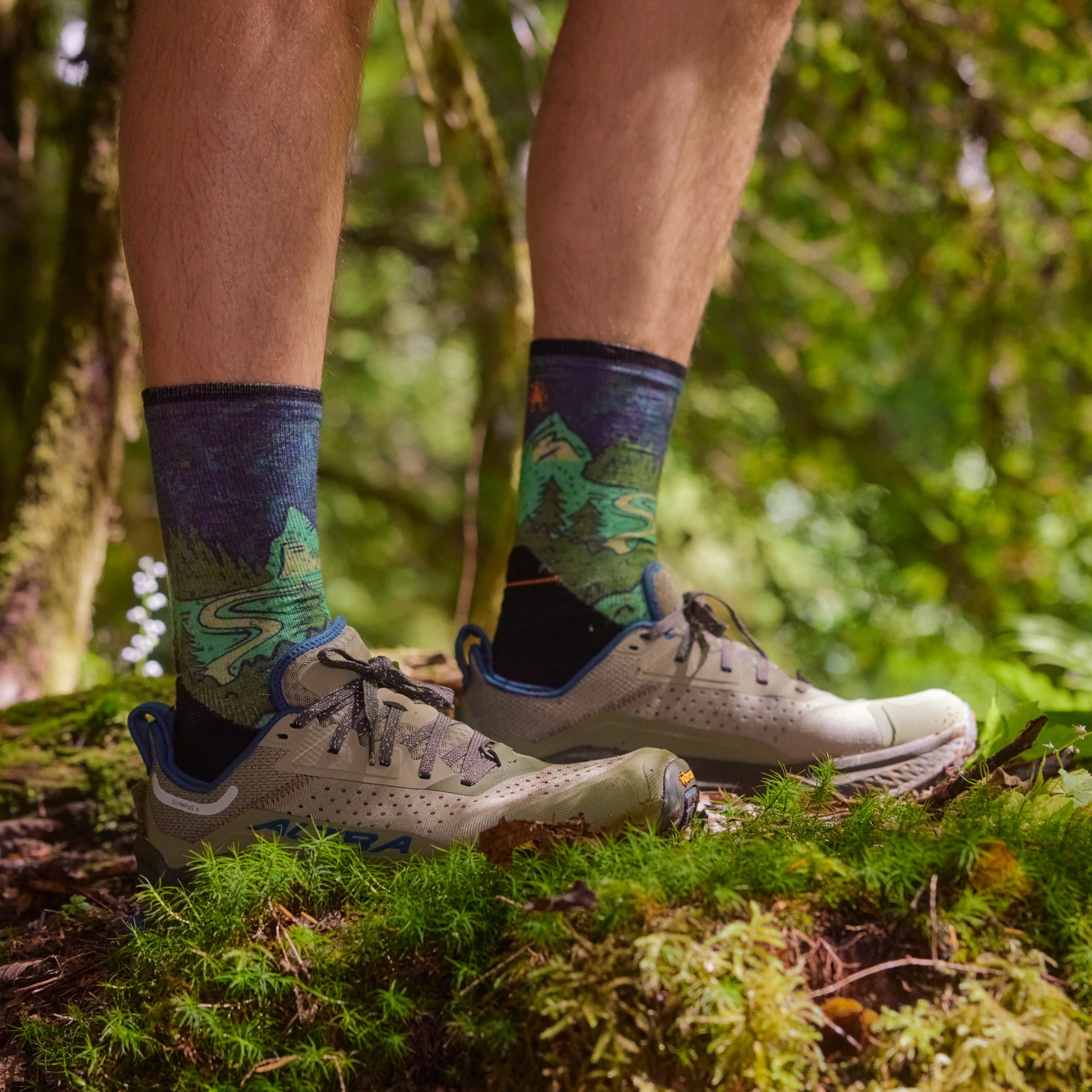 Smartwool Trail Run Targeted Cushion Neature Print Crew Socks - Image 2